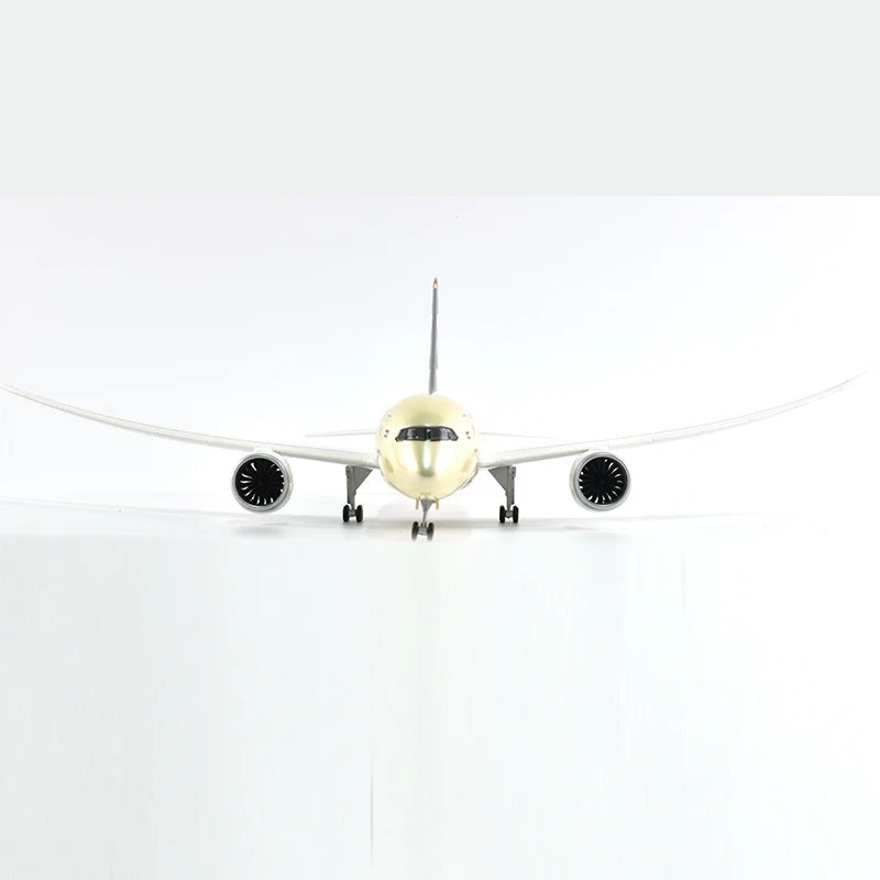 43cm Resin Diecast 1:144 Scale Etihad Boeing 787 Plane Model Airplane Model Aircraft with Light & Wheel Planes