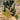 100pcs Model Railway Layout 1:160 N Scale Green Trees 50mm Scenery Diorama TC50