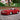 Maisto 1:24 Chevrolet Monte Carlo SS Diecast Alloy Sports Car Model - Racing Toy Vehicle for Kids & Collectors